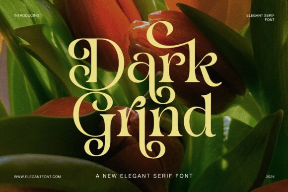 Dark Grind: Bold Strokes Meet Elegant Curves