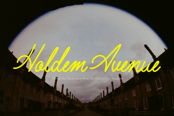 Holdem Avenue: Where Luxury Meets Handwritten Charm